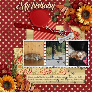 My-furbaby