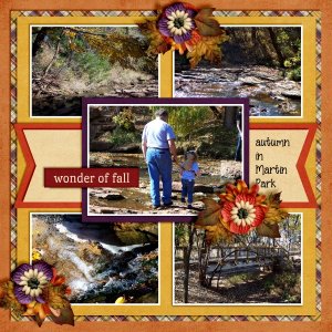 Wonder of Fall, Martin Park