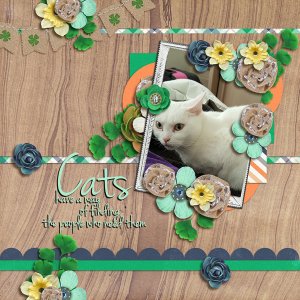 Cats