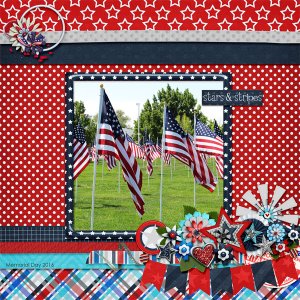 stars and stripes