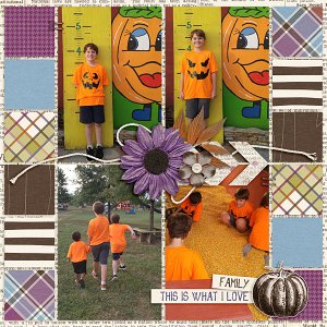 Lyons Farm 2016