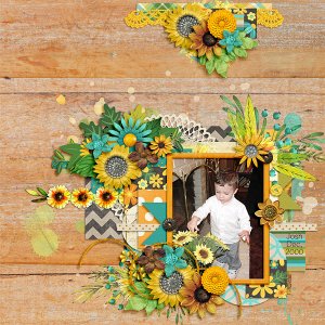 sunflowers