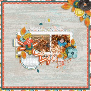 Cool and Crisp Fall