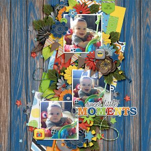 Sweet Little Moments