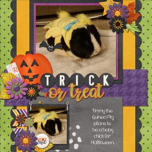 Trick or Treat