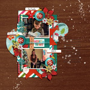 Our Family Christmas - 2015