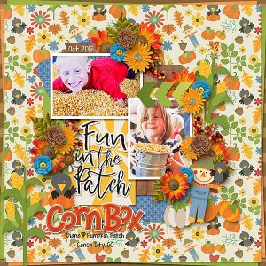 corn box