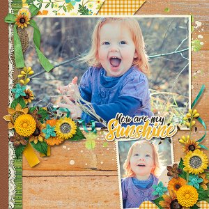 you are my sunshine