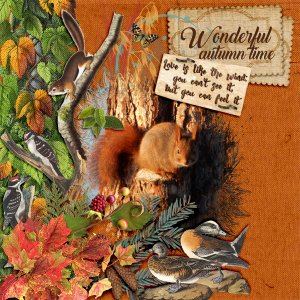 Wonderful-autumn-time