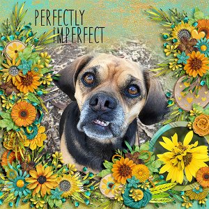 perfectly imperfect