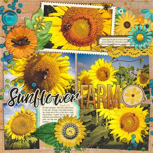 2016 - Week 31 Extra - p2