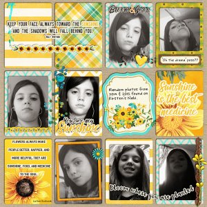 2014_2015_Sunflower