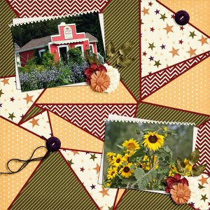 Sunflower Garden
