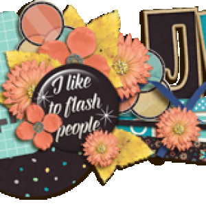 Jan's October 2016 Siggie