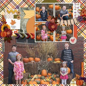 Fall Pics