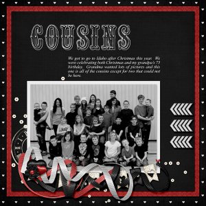12-Cousins_2015_small