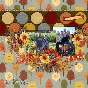2014 pumpkin patch