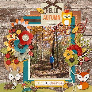 Into the Woods