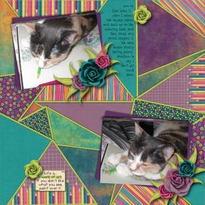 Colouring Cat