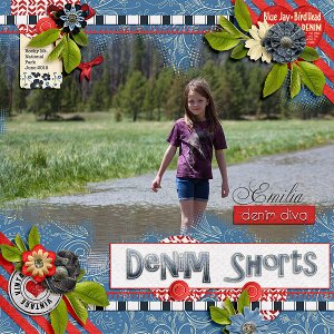 Emilia Denim Diva