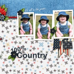 100 percent Country