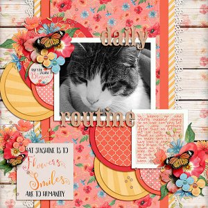 Daily routines