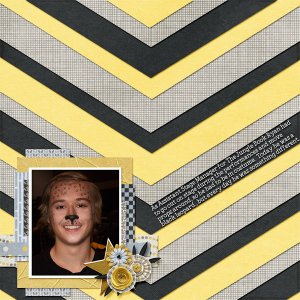 Chevrons