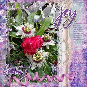 Joy + Beauty