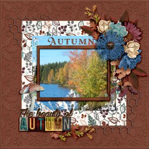The-beauty-of-autumn1