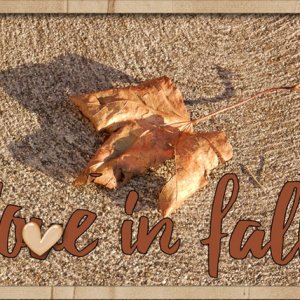 Love in the fall
