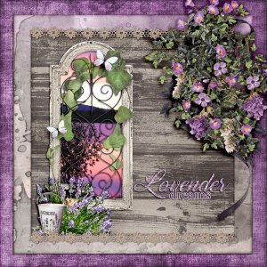 Lavender-dreams1