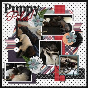 Puppies!