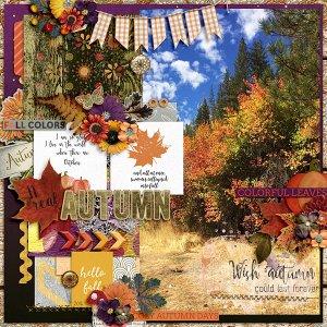 A real autumn