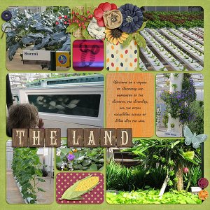 Living with the Land 2