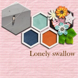 Lonely swallow