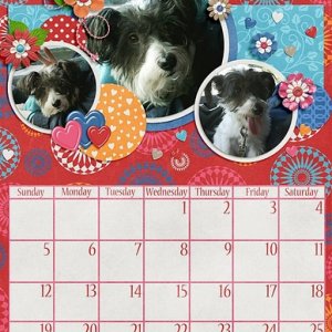 February