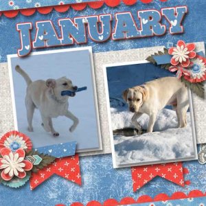 cap_centerfoldcaltemps_jan-
