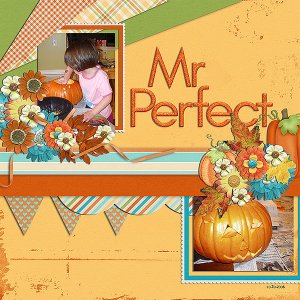 mr perfect