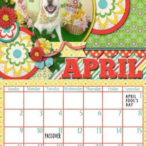 2017  Calendar Templates