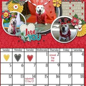 2017  Calendar Templates