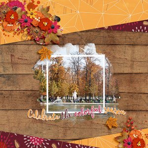 celebrate the season