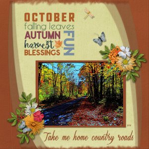 Autumn Country Roads
