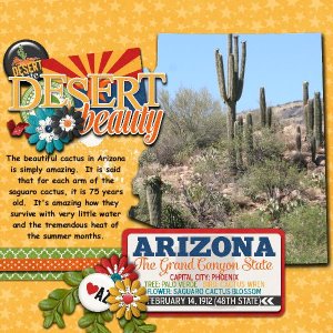 My Home Town