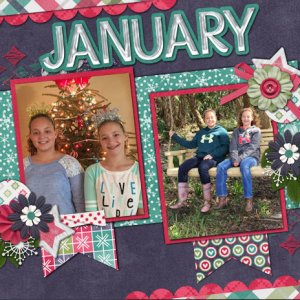 January 2017
