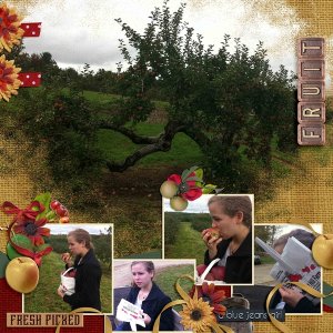 Apple Picking