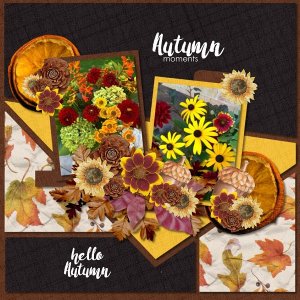 Fall Flowers