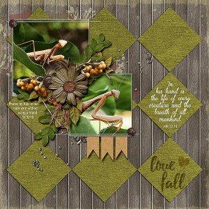 Job 12:10; Love Fall