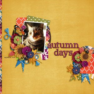 autumn days