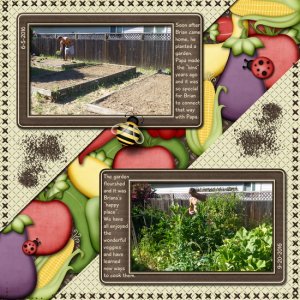 Brian's Garden