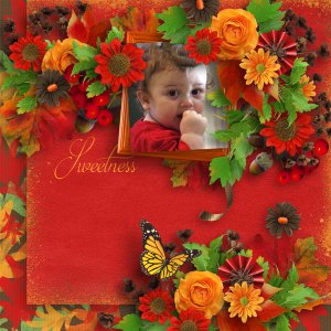 Sweetness
